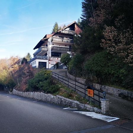 Haus Schwarzwaldblick Villa Hornberg Exterior foto