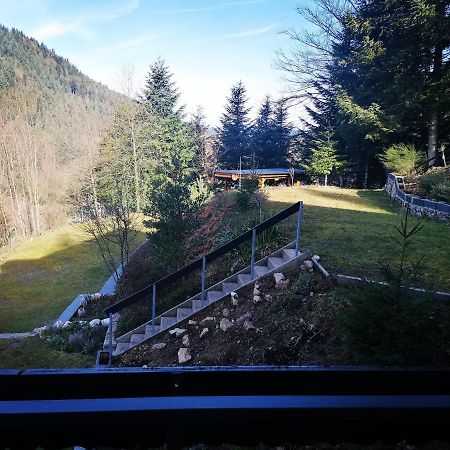 Haus Schwarzwaldblick Villa Hornberg Exterior foto