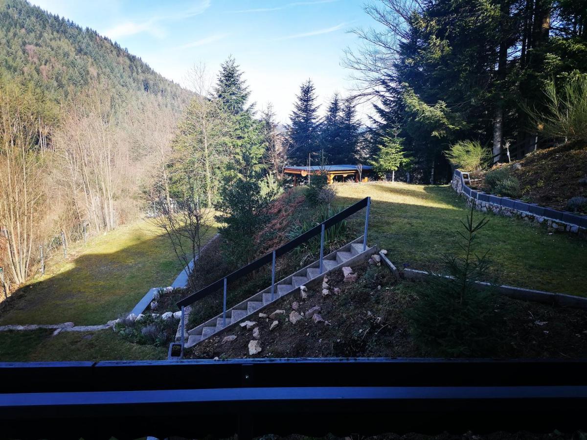 Haus Schwarzwaldblick Villa Hornberg Exterior foto