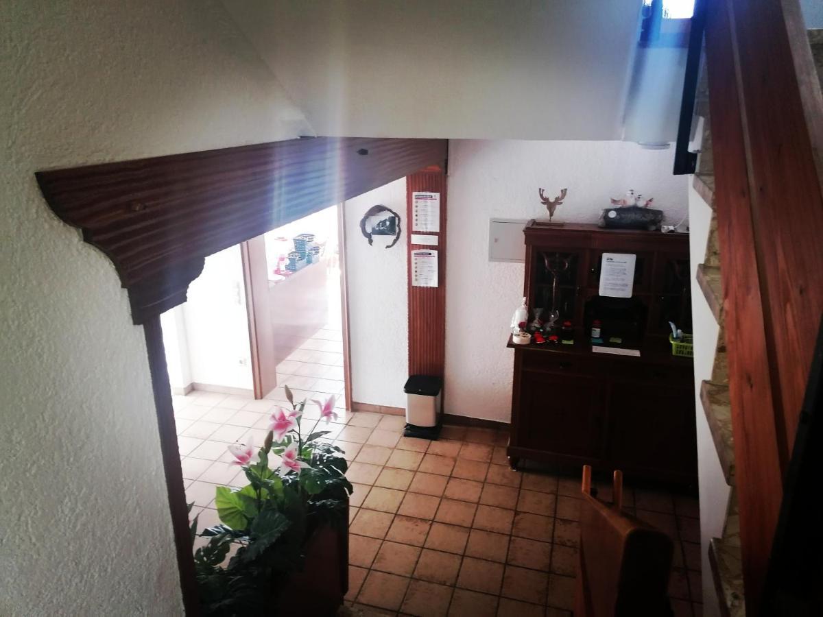 Haus Schwarzwaldblick Villa Hornberg Exterior foto