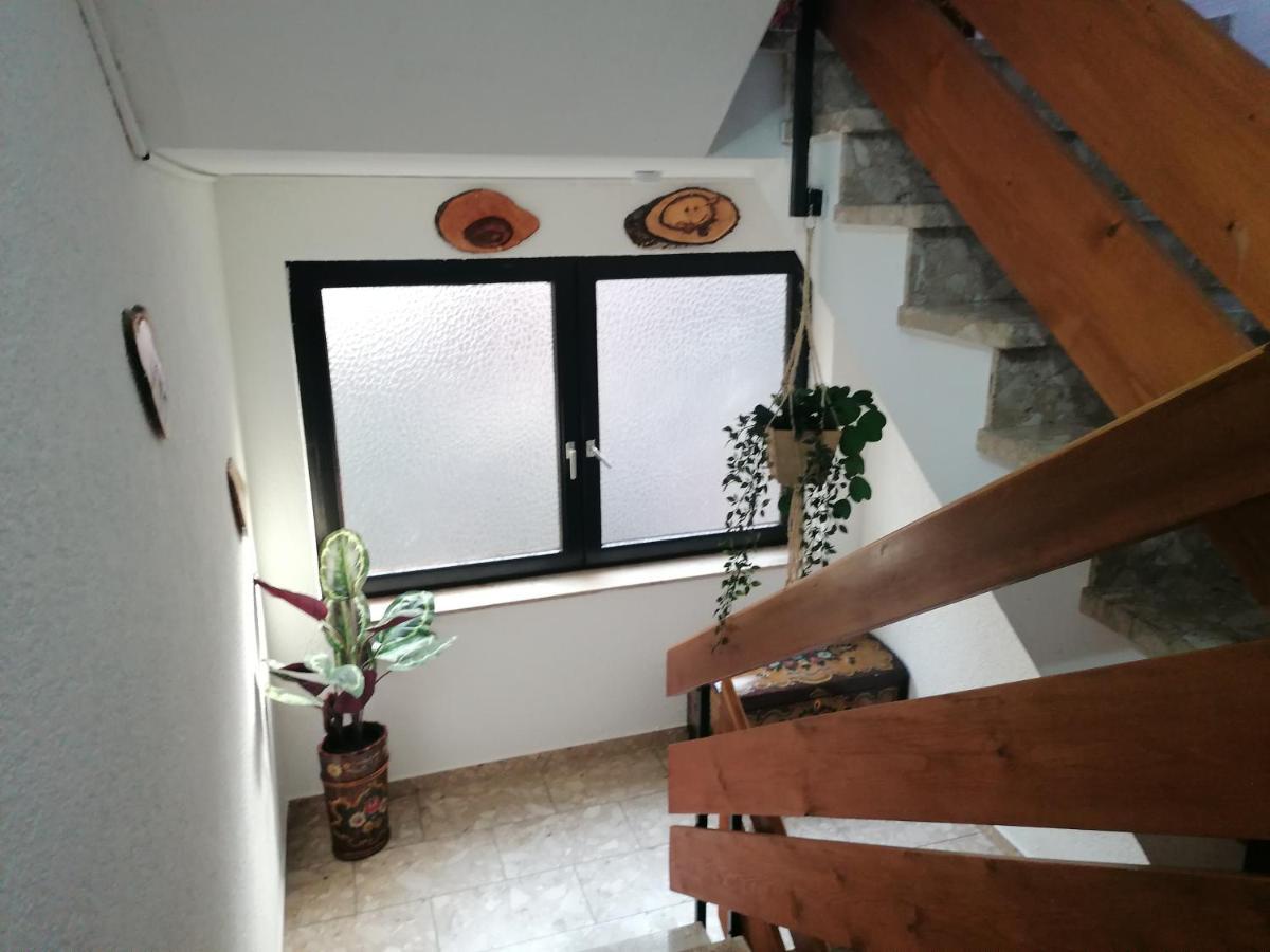 Haus Schwarzwaldblick Villa Hornberg Exterior foto