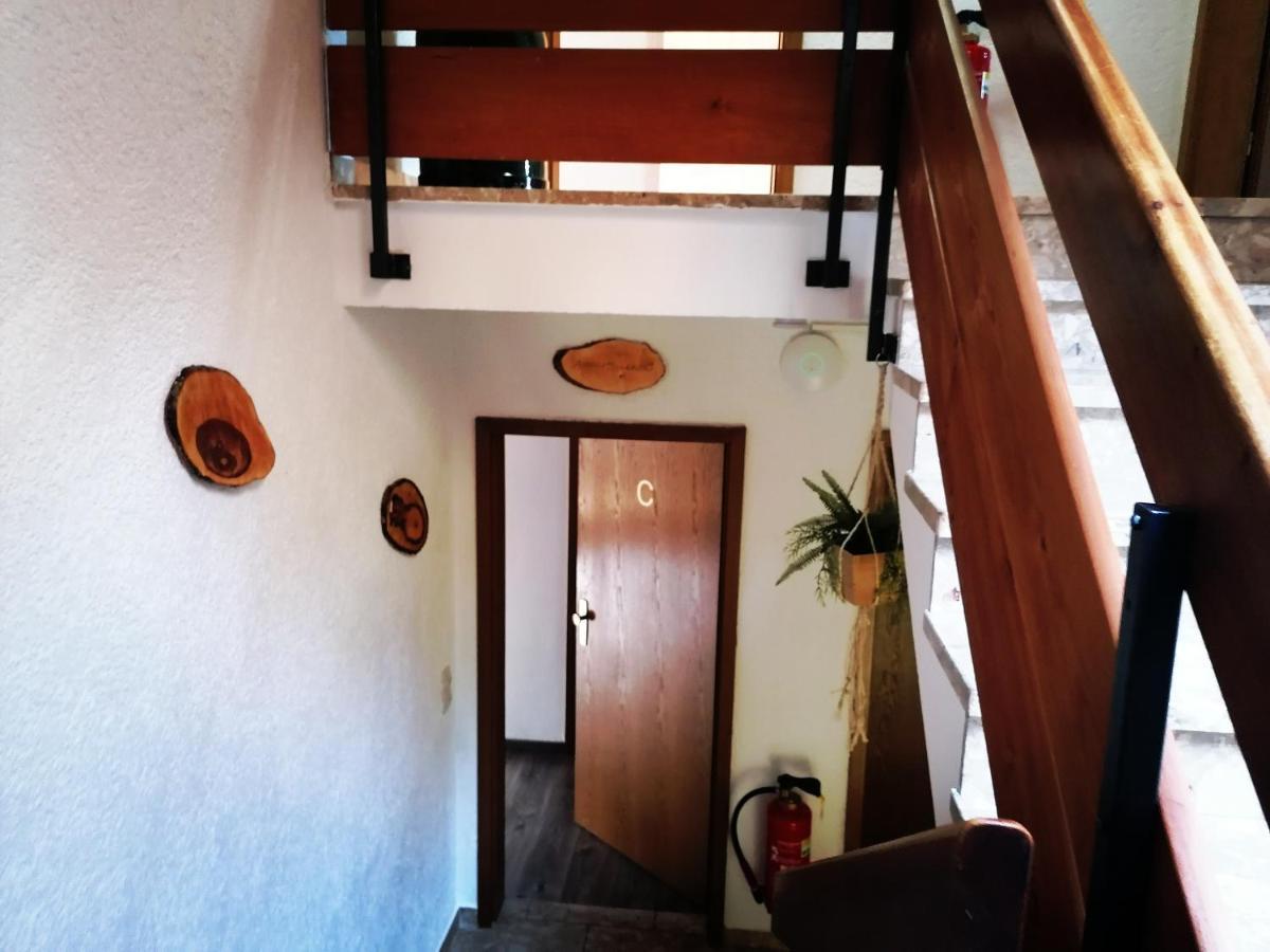 Haus Schwarzwaldblick Villa Hornberg Exterior foto